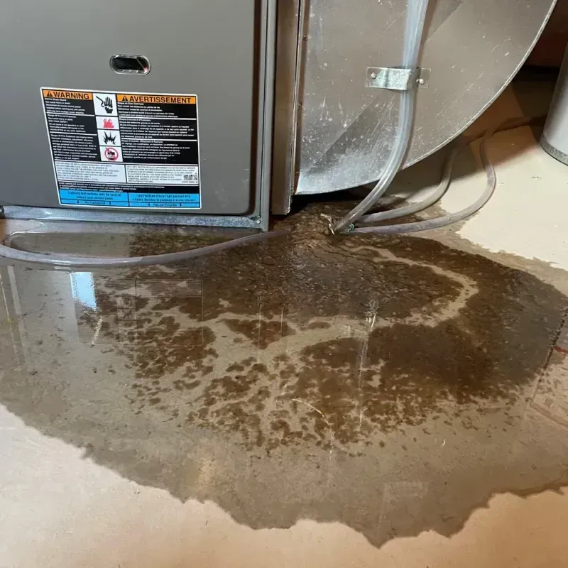 Appliance Leak Cleanup in Belvedere, CA